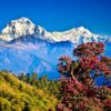 Foreign Investment in Himalayan Country NEPAL